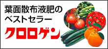 葉面散布液肥のベストセラー　クロロゲン