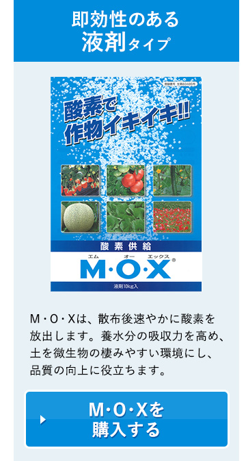 即効性のある液剤タイプ／M・O・Xは、散布後速やかに酸素を放出します。養水分の吸収力を高め、土を微生物の棲みやすい環境にし、品質の向上に役立ちます。／M・O・Xを購入する